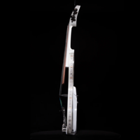 Violon acrylique transparent de haute qualité 355x130mm avec LED RVB pour la performance nocturne violon électrique acrylique clair fait à la main