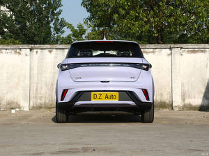 Byd Autodolphin Mini Coches EV nuevos y usados Volante a la izquierda Categoría de producto Vehículos de nueva energía - Product Image 6