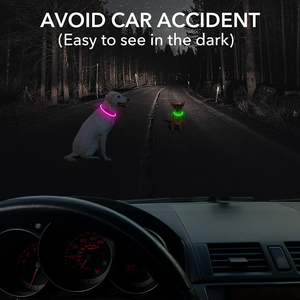 Venta caliente logotipo personalizado Usb recargable impermeable Light Up mascota impermeable Collares De Perros para perro personalizado Led Dog Collar - Product Image 4