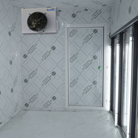 Contenedor Refrigerado Kudoo para Almacenamiento en Frío, 20 pies/40 pies, PU 100mm, Puerta Corredera, -18°C/-25°C, Compresor Copeland Integrado