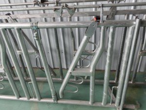 Vendita diretta di nuove attrezzature per l'allevamento di ovini e caprini, compresa la recinzione di capra - Product Image 3