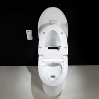 WC intelligent japonais moderne, cuvette de toilette intelligente, toilette électrique en céramique, WC monobloc, ensemble de toilette