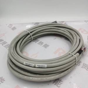 FS-SAI-1620m FS-TSAI-1620m สายเคเบิล CC PKS ระบบ DCS SIS แหล่งจ่ายไฟสำหรับ STOCK PLC - Product Image 2