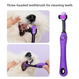 Ensemble de 9 peignes de toilettage pour animaux de compagnie en plastique 2026 avec ciseaux, aiguille et peignes roulés, sac de rangement facile à transporter pour chiens et chats - Product Image 6