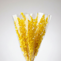 Vente en gros usine : Feuilles d'eucalyptus naturelles, véritables, séchées et préservées, teintes, pour plantes suspendues, décoration maison et mariage
