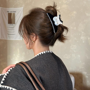 DOWELL Nouveau Acétate Double Face Hibou Griffe Clip Niche <span class=keywords><strong>Strass</strong></span> Griffe Clip Cheveux <span class=keywords><strong>Chignon</strong></span> Demi-Up Requin Clip Élégant Polyvalent - Product Image 2