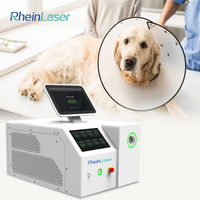 Système de lithotripsie laser vétérinaire à fibre de thulium 1940 nm pour la chirurgie des calculs urinaires chez les animaux de compagnie