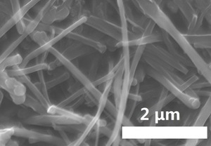 Showa คาร์บอนนาโนไฟเบอร์ VGCF-H ตัวนำแบตเตอรี่ลิเธียมตัวนำไฟฟ้าตัวนำสูงผนังเดียว - Product Image 4