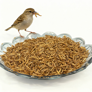 Alimentador congelado de gusanos de harina para mascotas, pájaros, peces, lagartos, arañas, comida, anfibios, cebo de pesca acuática - Product Image 6