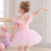 Justaucorps de ballet pour filles, robe tutu en tulle brodée de fleurs/décorations flocon de neige, robe de princesse pour tout-petits, idéale pour les cours de danse et les spectacles sur scène