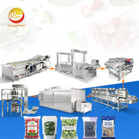 ORME Vriesvruchten- en groentenreinigingslijn, machine voor het wassen en snijden van fruit en groenten voor inblikken