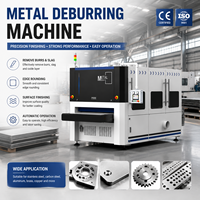 Machine de polissage et de ponçage à rouleaux automatique en acier inoxydable pour tôles métalliques, robuste, 55 kW, SR-TECH