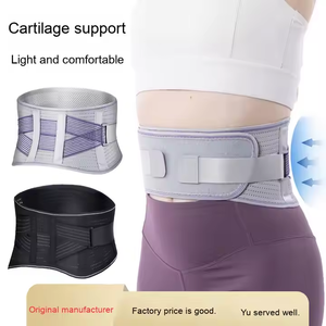 <span class=keywords><strong>Ceinture</strong></span> de soutien <span class=keywords><strong>lombaire</strong></span> réglable avec logo personnalisé OEM, pour adulte, avec coussin <span class=keywords><strong>lombaire</strong></span> amovible - Product Image 1