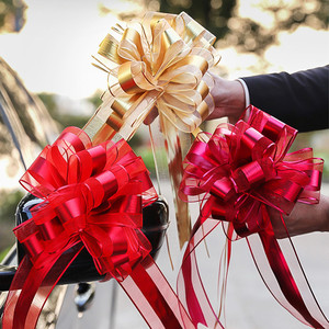 8 Inch <strong>Ribbon</strong> Bows Pull Bows <strong>Ribbon</strong> Organza Organdy Curly Gift <strong>for</strong> <strong>Car</strong> Wedding - Product Image 3