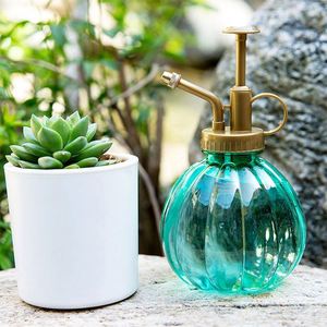 Pulvérisateur pour plantes, arrosoir en plastique pour intérieur avec couvercle à pompe noir - Product Image 3