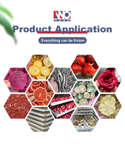 Lyophilizer thực phẩm đóng băng liofilizador dehydrator chân không công nghiệp dâu tây Máy freezeilizer đông lạnh Máy sấy máy với CE - Product Image 2