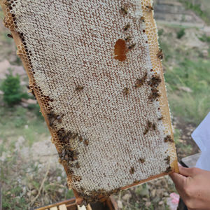 <span class=keywords><strong>Miel</strong></span> de Beri cru, <span class=keywords><strong>miel</strong></span> Royal de yênium - Product Image 5