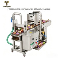 Machine d'enrobage au chocolat commerciale pour les usines de confiserie, de barres protéinées et de bonbons