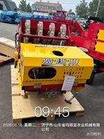 Planteuse d'ail autopropulsée à 4 rangs avec orientation correcte des bourgeons