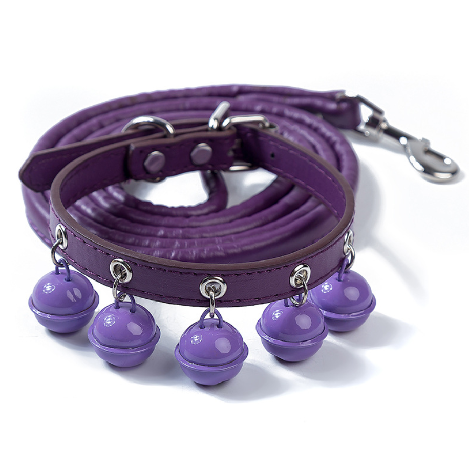 New pet products popular pet cat collar PU Amazon hot-selling lettered dog collar with bell