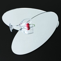 Petite loupe de poche ovale circulaire sans cadre concave à double face de 3 x 5 pouces