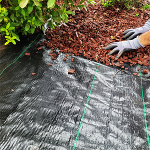 Rollo de <span class=keywords><strong>tela</strong></span> UV de estabilización Cubierta de suelo agrícola Planta de <span class=keywords><strong>vivero</strong></span> Membrana de control de malezas Tapete de malezas tejido de PP negro - Product Image 2