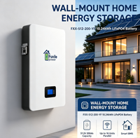Batterie LiFePO4 murale 51,2 V 200 Ah 10,24 kWh, puissance nominale 5,12 kW, courant nominal 100 A, communication RS485 CAN RS232, IP21