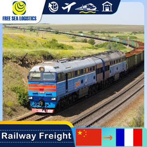 从中国到德国的DDP铁路运输法国门到门服务 - Product Image 2