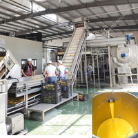 Fabricant de lignes de traitement industrielles complètes en acier inoxydable de qualité export pour fruits et légumes (mangues)