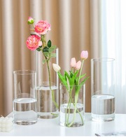 RYLAVA Gros Vase Cylindrique en Verre Simple de Haute Qualité pour Décoration Maison et Mariage