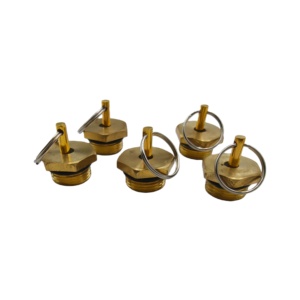 Pièces détachées de camion de haute qualité 30*22, soupape de vidange automatique universelle pour camion - Product Image 4