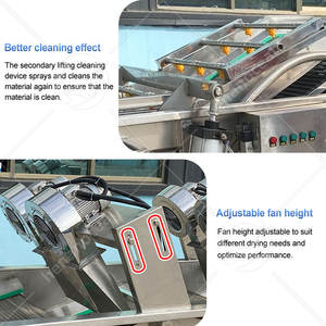 Línea de Procesamiento Automático OCEAN para Lavado, Secado y Empaquetado de Frutas y Verduras, Máquina de Lavado y Secado de Zanahorias - Product Image 4