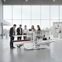 KXL-650 Robotique de fin de ligne entièrement automatique PLC pour l'industrie, 5-25 cartons/min, plage de taille de boîte 650 mm de hauteur, haute rigidité, 220V/380V