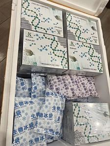 Kit de ELISA GLP1 de Alta Sensibilidad para Suero Humano, Plasma y Cultivo Celular, Solo para Uso en Investigación - Product Image 4