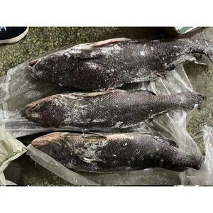 Vente en gros de poisson croaker brun/croaker jaune congelé, fourni depuis la Chine - Product Image 6