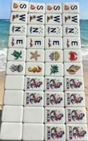 Ensemble de Mahjong Américain de Luxe en Acrylique, 160 Tuiles, Pliable et Portable, pour 4 Joueurs, Cadeau de Divertissement pour la Maison, les Fêtes et les Voyages