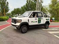 Pick-up électrique RVY, véhicule de passagers, autonomie de 200 km, charge rapide en 6 heures, options blanc/or/bleu, moteur 50 kW, batterie 30 kWh