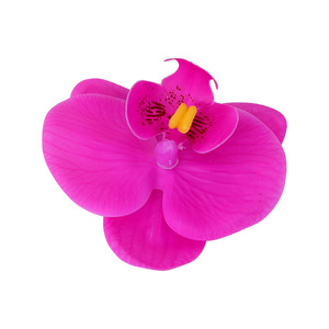 Fleurs artificielles Phalaenopsis Orchidées en tissu de soie imprimé 3D, accessoires de décoration de mariage - Product Image 4