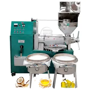 Mini oil extraction machine home use sunflower seeds Pumpkin seed extractor machine cold press oil machine hot on sale