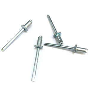 Boîte <span class=keywords><strong>de</strong></span> 500 rivets aveugles en acier inoxydable <span class=keywords><strong>de</strong></span> qualité supérieure, quantité idéale pour les équipes <span class=keywords><strong>de</strong></span> maintenance et les ateliers - Product Image 1