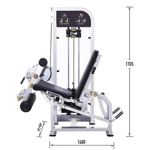 Equipo de Entrenamiento de Fuerza, Máquina de Extensión de Piernas para Gimnasio Comercial, con Pesas, Modelo WD-HX623, Servicio de Personalización OEM/ODM - Product Image 5