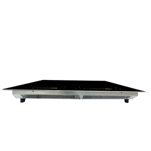 Factory Stock Double Head Induction <b>Cooker</b> - Product Image 6
