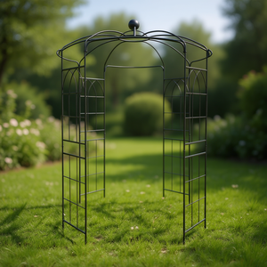 Arche de jardin en métal Db, 81,3'' de diamètre x 114,2'' de hauteur, forme cage à oiseaux, pergola en fer pour jardin, style classique, revêtement poudré noir - Product Image 2