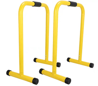 Équipement de fitness en salle en gros d'usine barres parallèles d'entraînement musculaire