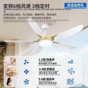 Ceiling Fan Light With Led Integrated Pendant For Living Room And Dining Room Flush Mount 220V Fixed Blade Fan - Product Image 5