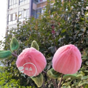 DIY 5-7 - Product Image 1