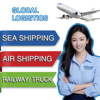 Agente de Envíos, Transitario, Servicios de Logística, Envío DDP por Alibaba-Express