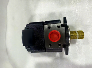 Bomba de Engranajes Internos Hidráulica de Alta Presión QXEH QX QXM Serie QX21/31/41/43/51/54/61/62/83 QX61-160R205 28 1 - Product Image 3