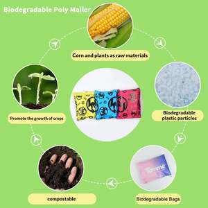 Bolsa de Correo Personalizada de Poliéster Mate, Bolsa de Envío Impermeable para Zapatos, Ropa, Cosméticos, Embalaje, Envío Exprés - Product Image 6