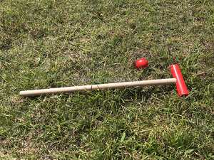 Set Premium Croquet all'aperto con tema animale Croquet palla giocattoli educativi per bambini - Product Image 4